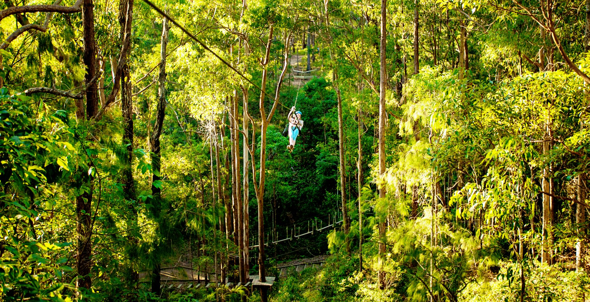 TreeTop Challenge – Adrenaline Park Mt. Tamborine
