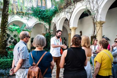 Viana Patios & Palace: Guided Tour