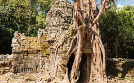 Bike the Angkor Sunrise