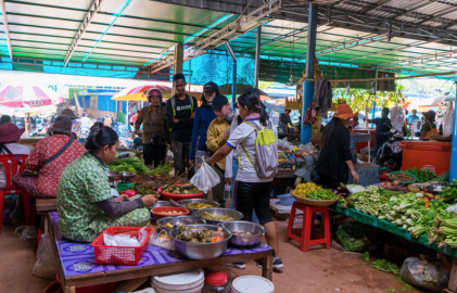 Siem Reap Cycling and Culinary Adventure