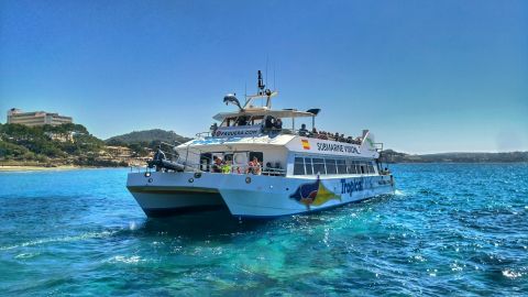 Santa Ponsa: 3-Hr Dolphin Watching Boat Excursion