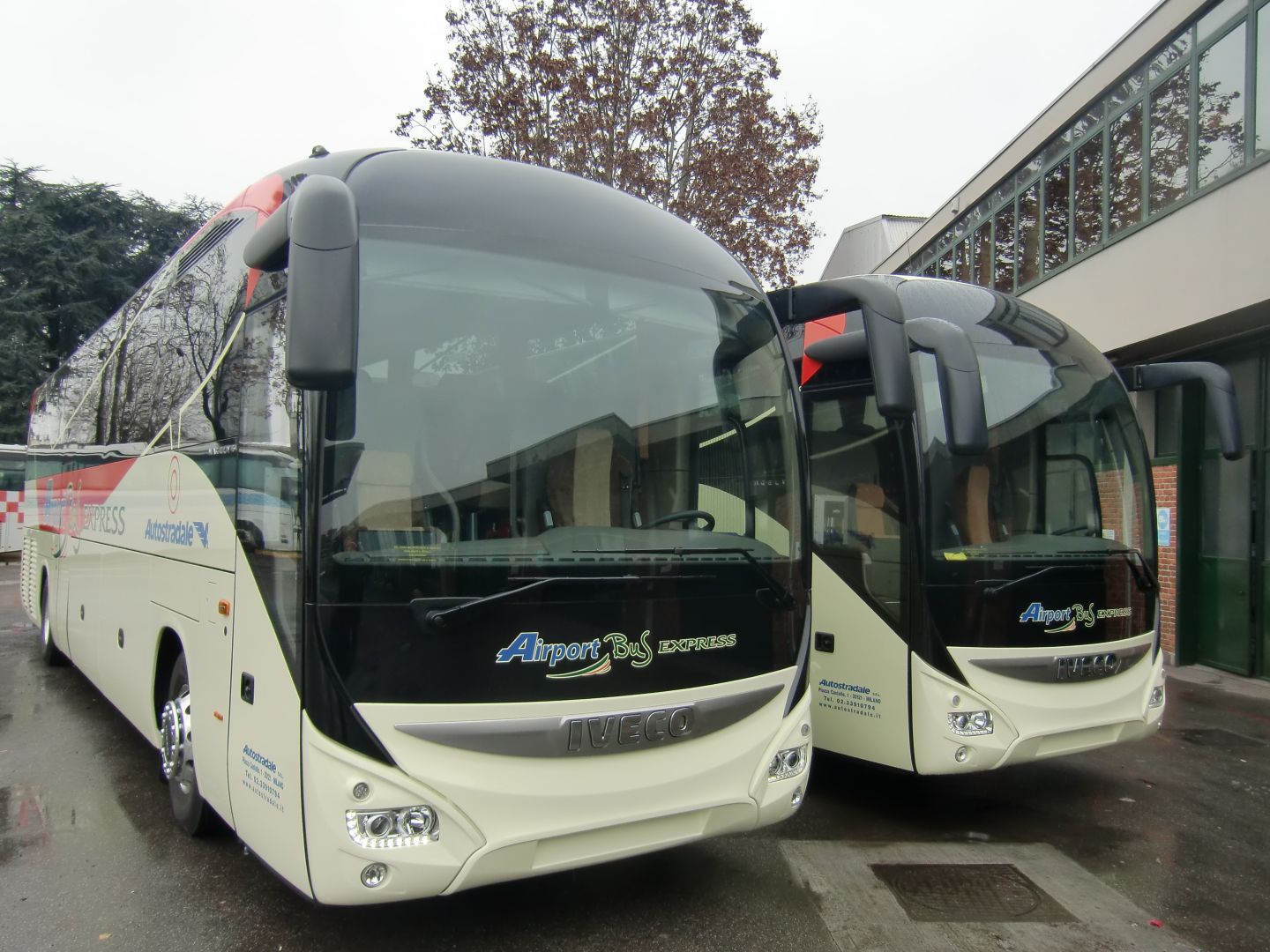 Rome: SIT Bus Transfer from Fiumicino Airport to Rome Termini