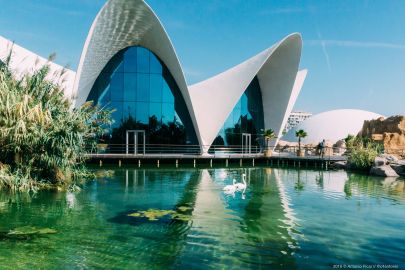 Oceanogràfic de Valencia: Entry Ticket