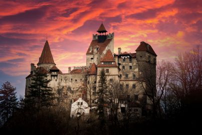 Dracula's Castle: Entry Ticket + Guided Tour