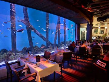 Cairns Aquarium by Twilight with Dinner