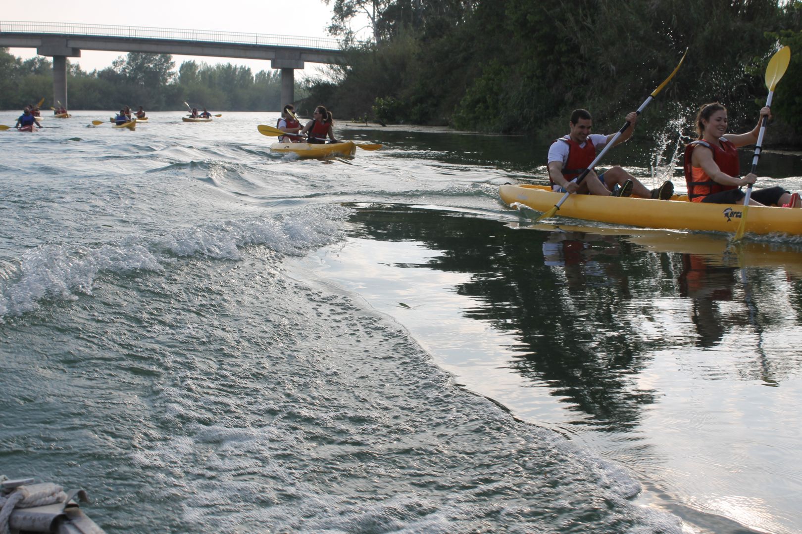 Ebro Delta: Kayak Excursion