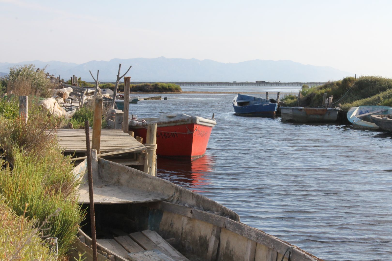 Ebro Delta: Kayak Excursion