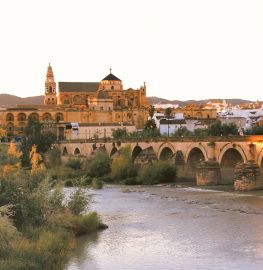 Córdoba and its Mosque: Full Day Tour from Granada Spanish Tour