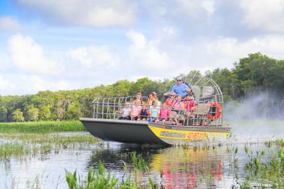 Wild Florida 30-minute Everglades Airboat Tour Half Hour Airboat Ride