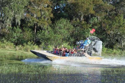 Everglades: 30-Minute Boggy Creek Airboat Tour At Southport Park