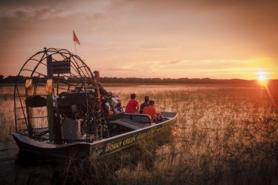 Everglades: 1-Hour Boggy Creek Sunset Airboat Tour