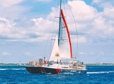 Catamaran Half Day Champagne & Brunch Cruise