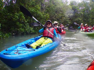 Mangrove Kayaking in Singapore