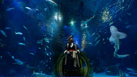 SEA LIFE Orlando - Standard Admission & VR Pods 