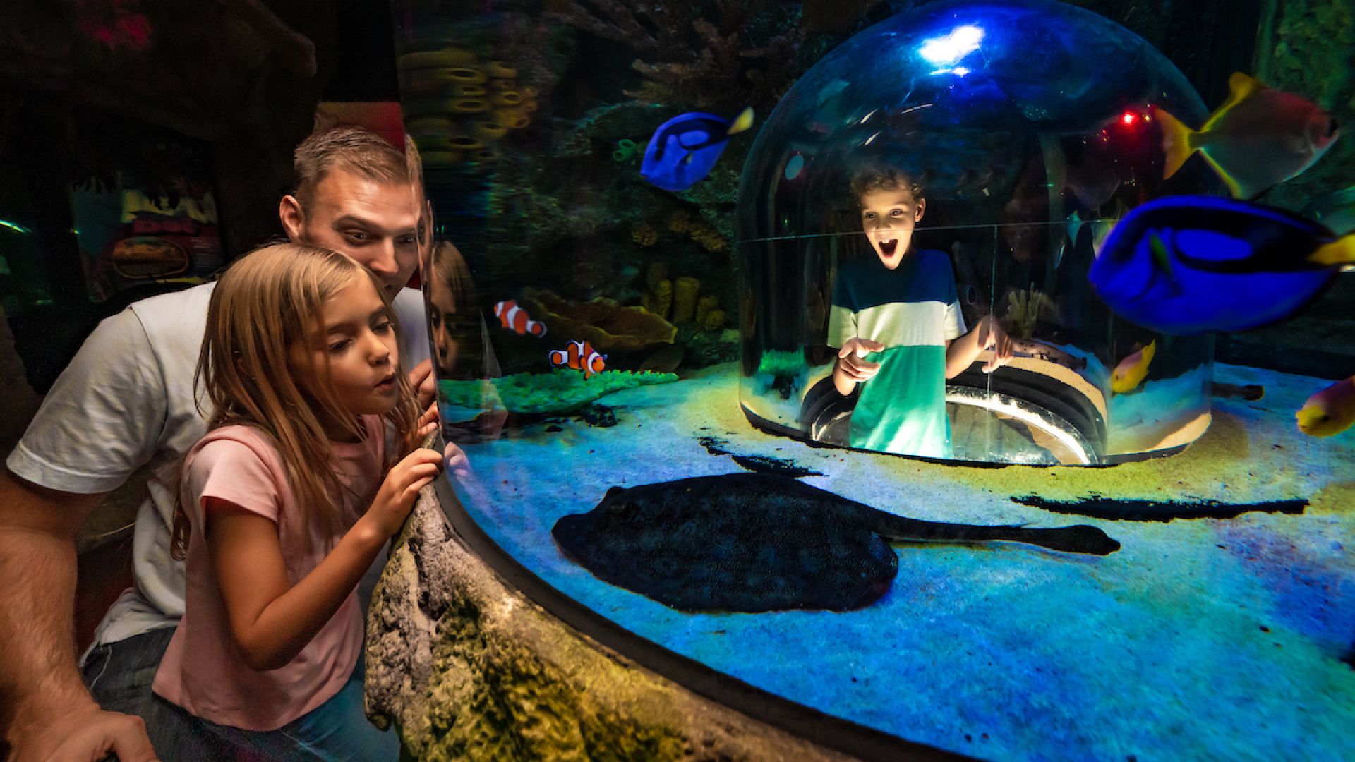 Sea Life Net SEA LIFE ADMISSION + DIGITAL PHOTOS