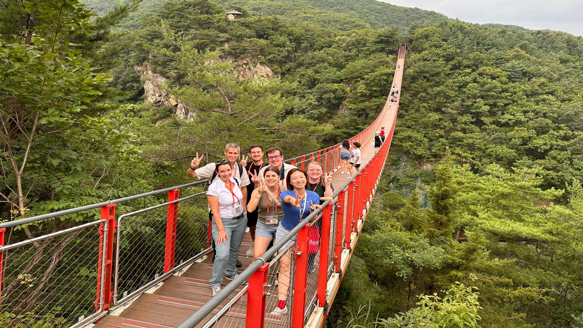 South Korea: Guided Demilitarized Zone & Suspension Bridge Tour + Transfers