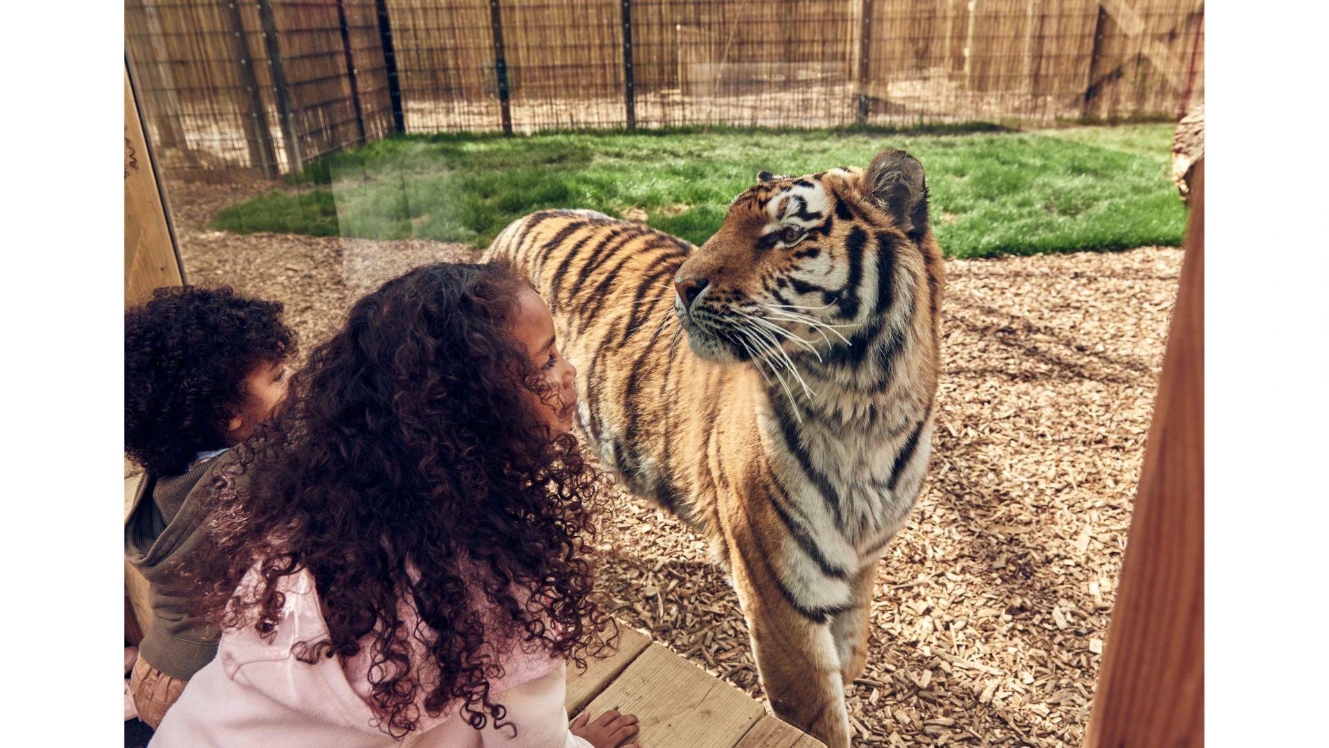 Chessington World of Adventures - One Day Entry (Mon, Thurs, Fri term time)