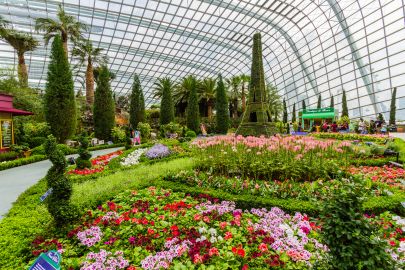 Gardens by the Bay: Flower Dome & Cloud Forest (Optional)