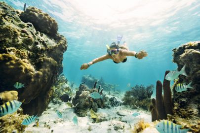 Cancún: MUSA Underwater Museum, Jungle Speedboat & Snorkel Tour
