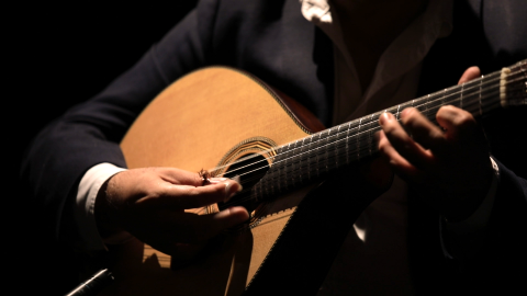 Fado in Chiado Show