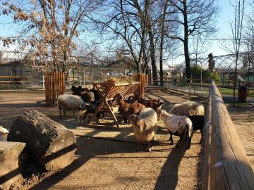 Oradea Zoo: Meet & Greet