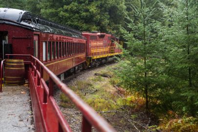 Skunk Train: Pudding Creek Express