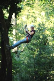 Treetops Adventure: Belgrave Park