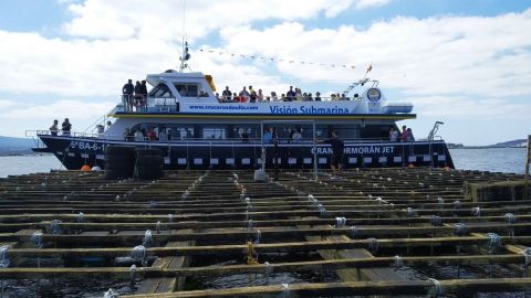 Rías Baixas Cruise: Route of the Mussels