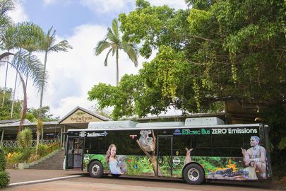 Kuranda Rainforestation with Kuranda Scenic Railway