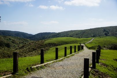 Beitou and Yangmingshan Day Tour from Taipei