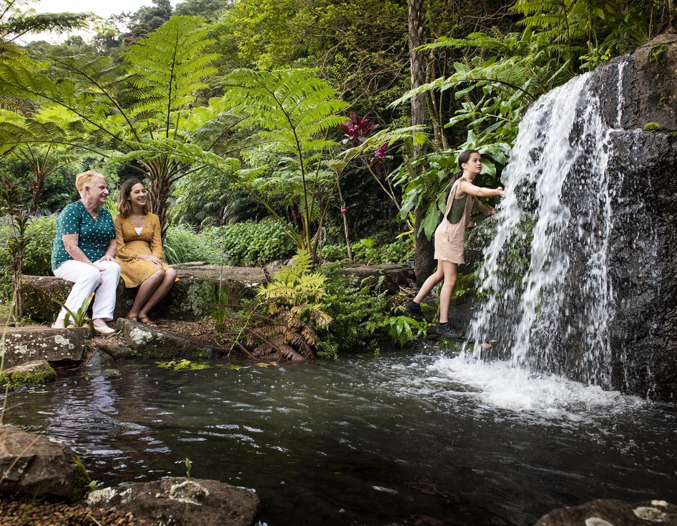 Maleny Botanic Gardens & Bird World: Entry Ticket