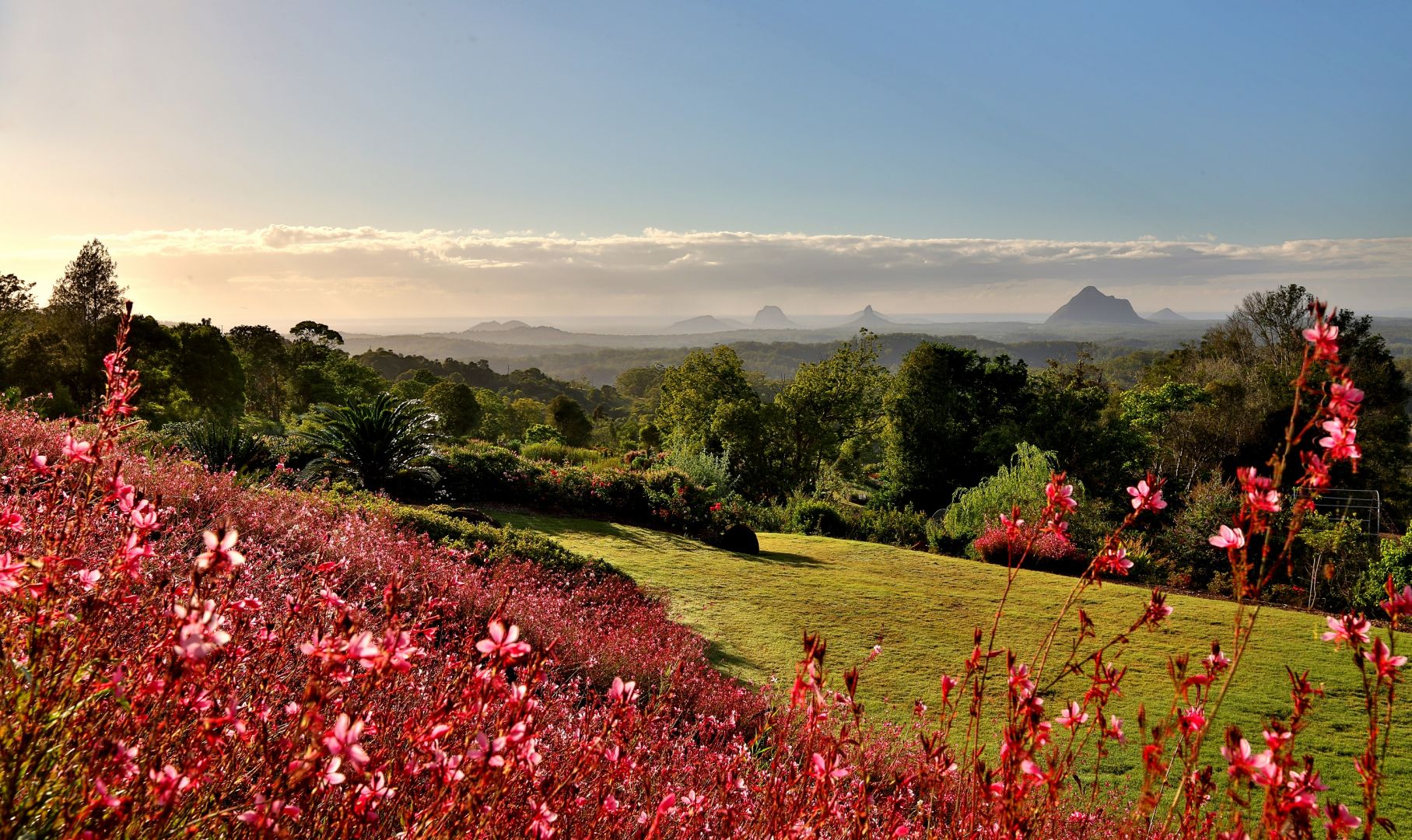 Maleny Botanic Gardens & Bird World: Entry Ticket
