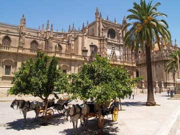 Royal Alcázar of Seville: Entry Ticket + 75-min Guided Tour