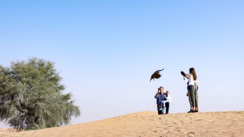 Royal Shaheen - Private Dubai Falconry Safari Without Breakfast