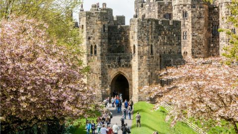 Alnwick Castle Day Tour with entry to Alnwick Castle and Bamburgh Castle from Edinburgh