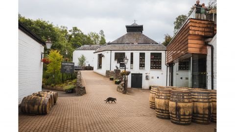 Scottish Glens, Highlands & Whisky Day Tour from Edinburgh including distillery entry 