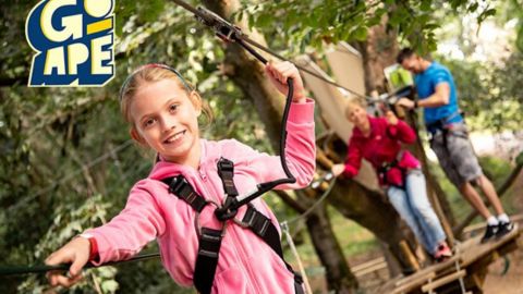 Treetop Adventure for Two at Go Ape