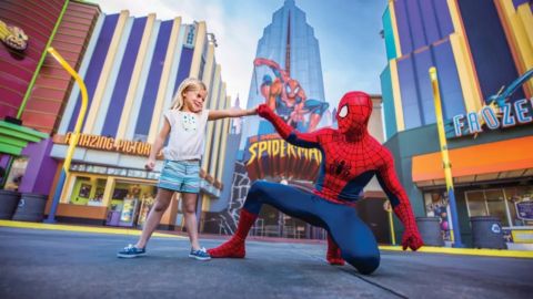 Disney and Universal Combo OFFER 2024