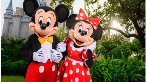 The Original One Combo 2026