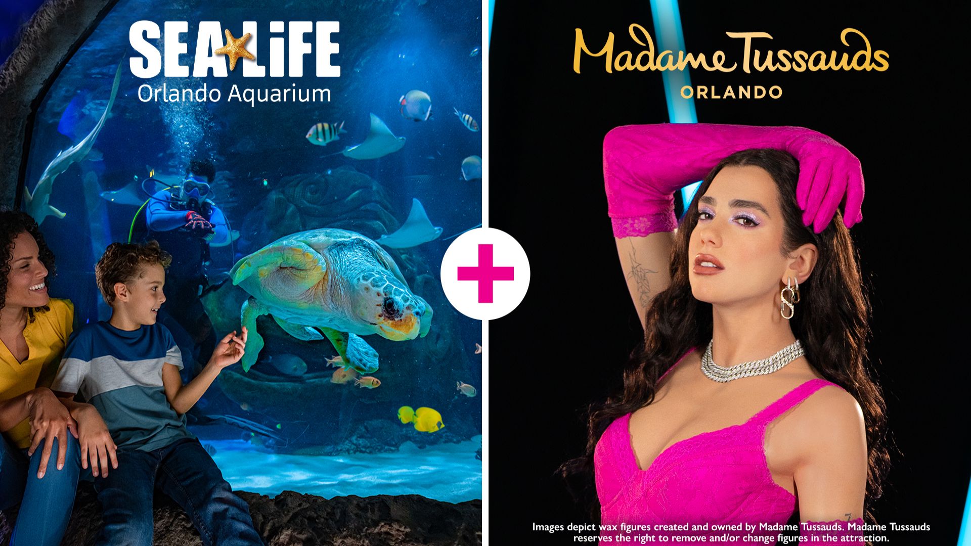 Merlin Florida Ticket