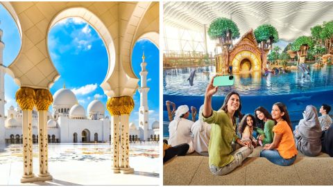 From Dubai: Abu Dhabi Grand Mosque & SeaWorld - Shared Audio Guided Tour & Transfers