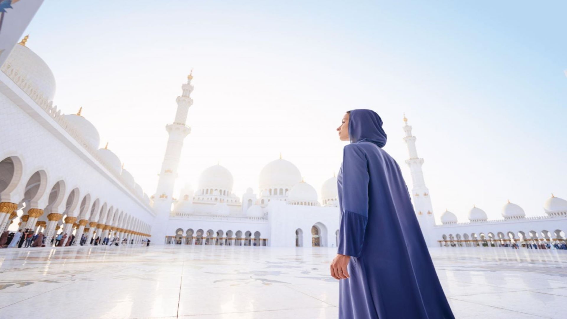 From Dubai: Abu Dhabi Grand Mosque & SeaWorld - Shared Audio Guided Tour & Transfers