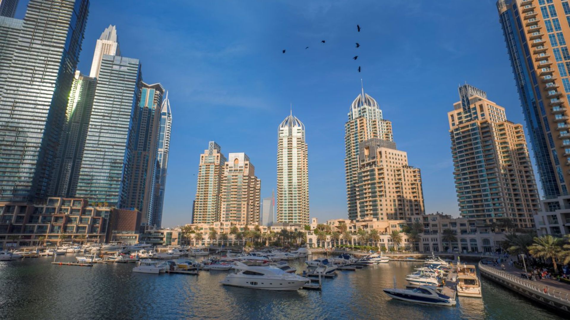 From Dubai: Dubai Full Day City Tour without Lunch - Shared Audio Guided Tour & Transfers
