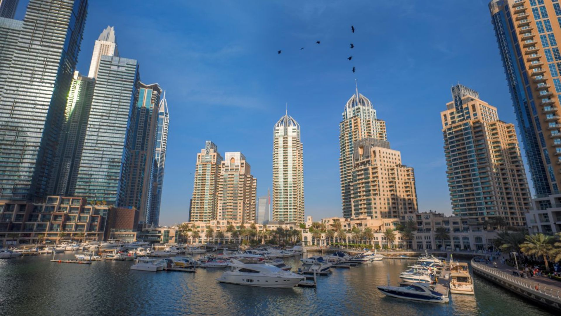 From Dubai: Dubai Full Day City Tour with Lunch - Shared Audio Guided Tour & Transfers