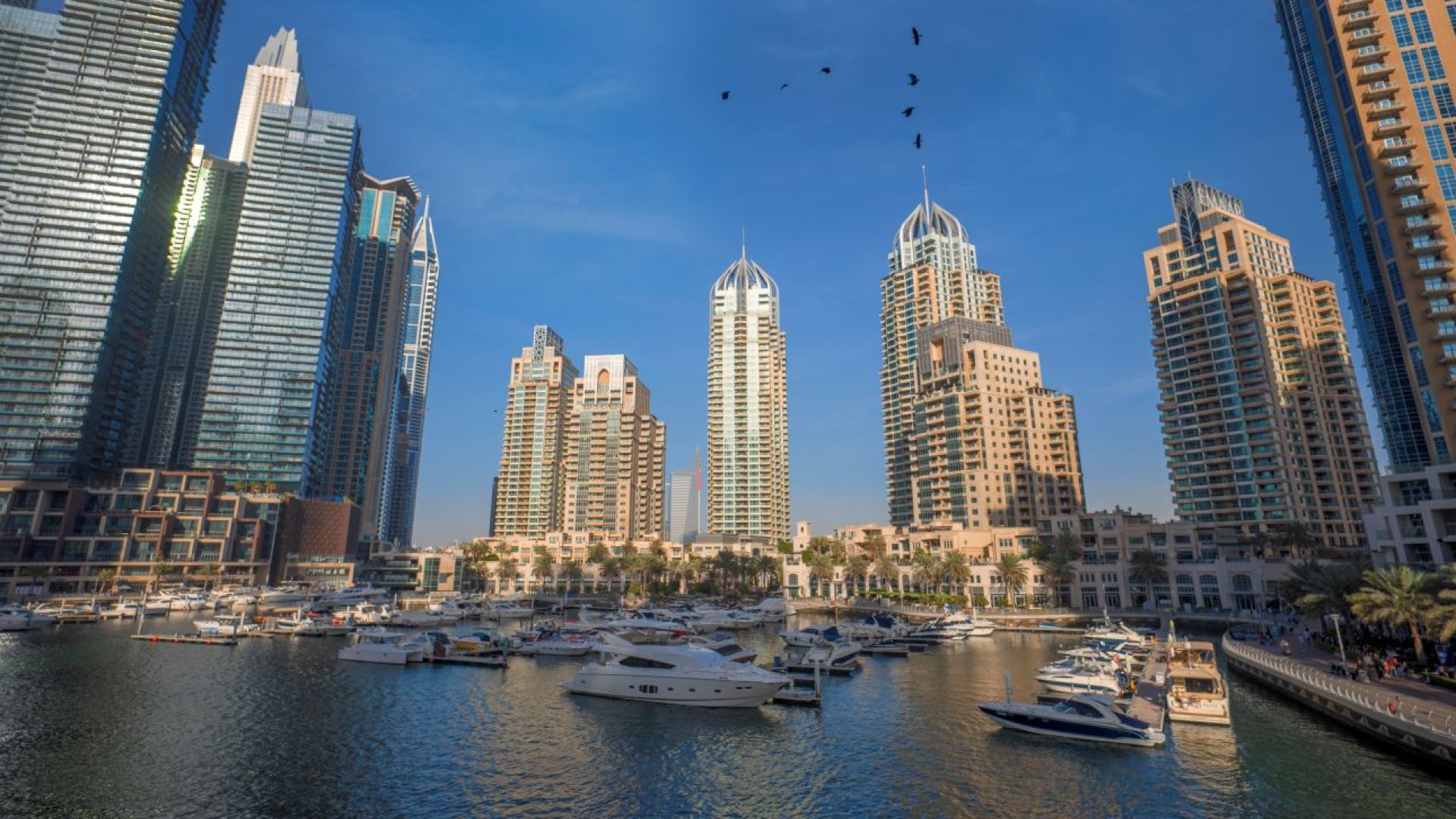 From Dubai: Dubai Full Day with Burj Khalifa - Shared Audio Guided Tour & Transfers