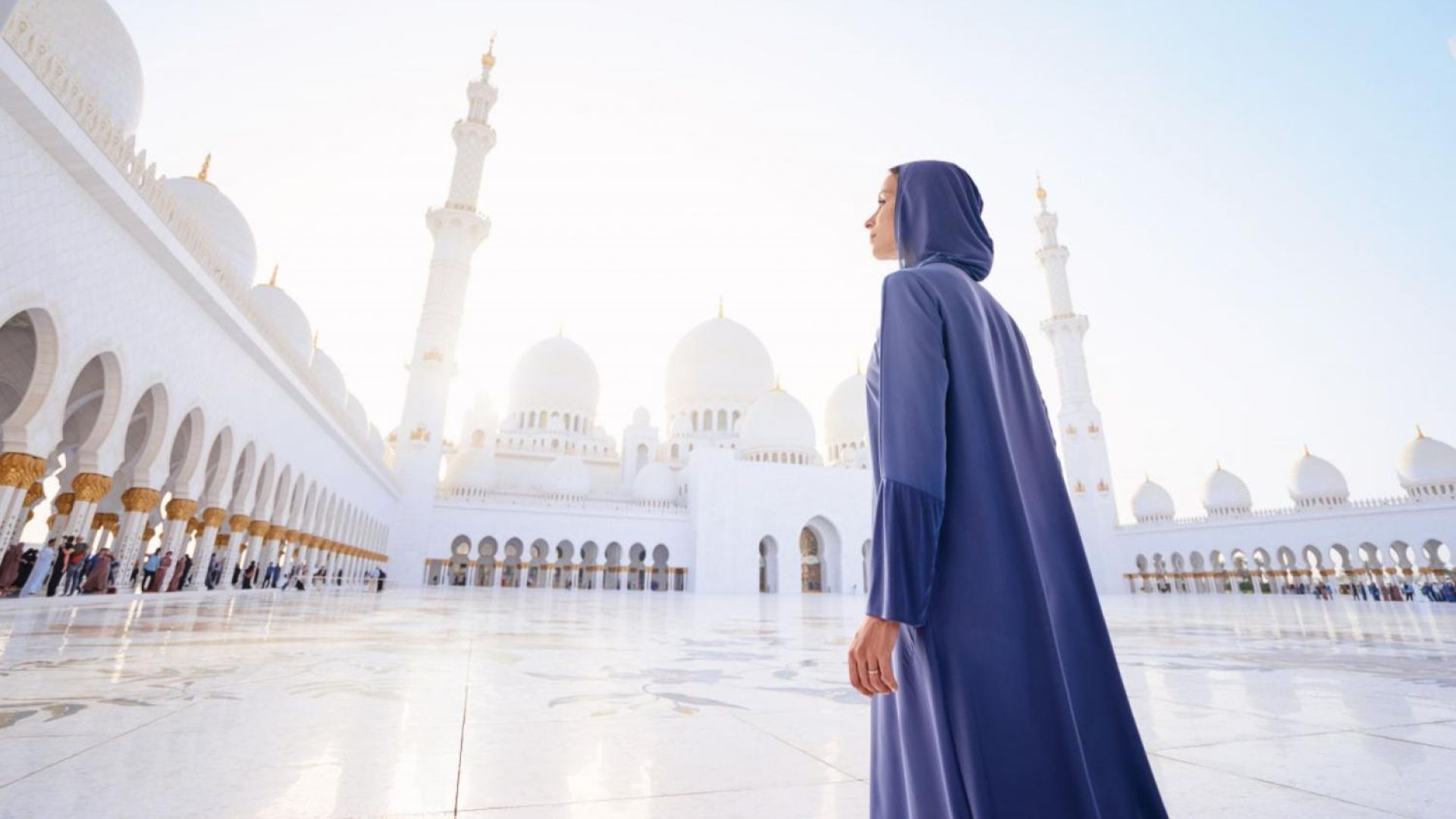 From Abu Dhabi: Abu Dhabi & Warner Bros - Shared Audio Guided Tour & Transfers