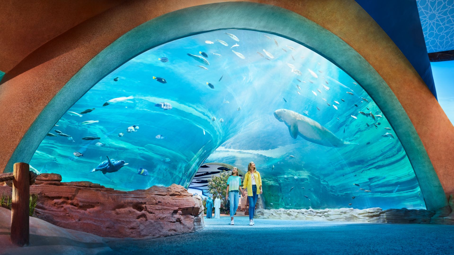 From Dubai: Abu Dhabi Grand Mosque & SeaWorld - Shared Audio Guided Tour & Transfers