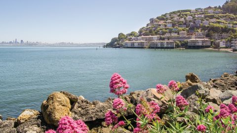 Muir Woods & Sausalito Tour Including entrance fee From San Francisco