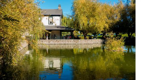 Wine Country Half Day Tour