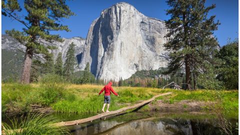 Yosemite National Park Tour / incl. $10 entrance fee